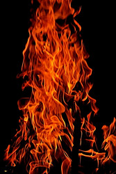 Similar image 252077