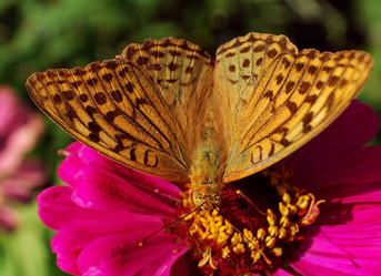 Similar image 252099