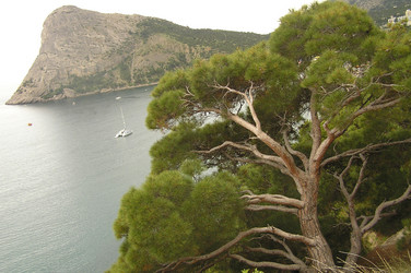 Similar image 252155