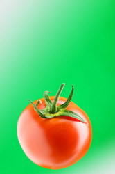 Similar image 252162