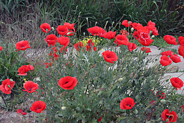 Similar image 252192