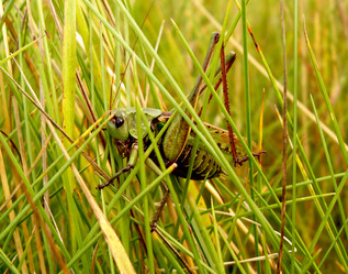 Similar image 252197