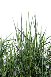 Similar image 252200