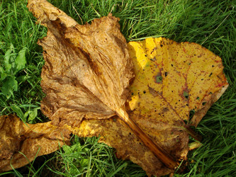 Similar image 252203