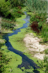 Similar image 252218