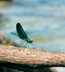 Similar image 252223