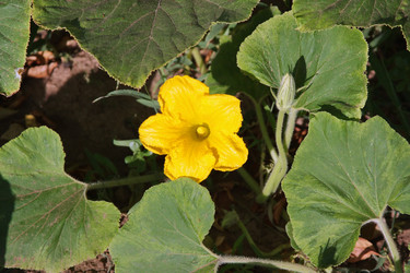 Similar image 252228