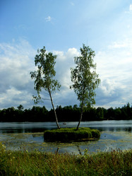 Similar image 252229