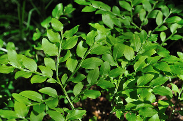 Similar image 252277