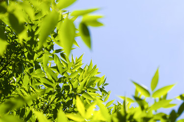 Similar image 252278