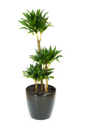 Similar image 252352