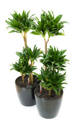 Similar image 252353