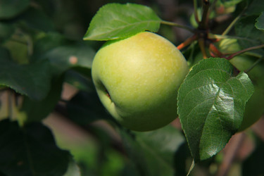 Similar image 252403