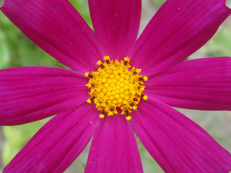 Similar image 252420