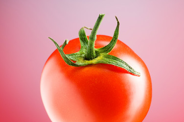 Similar image 252429