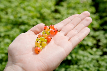 Similar image 252598