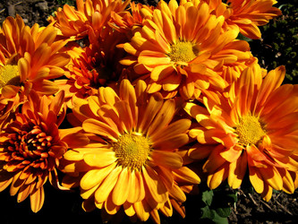 Similar image 252636