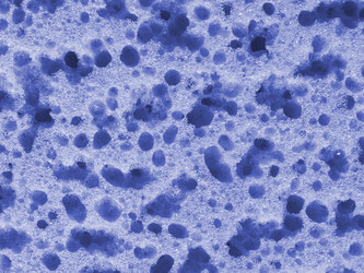 Similar image 252645