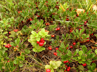 Similar image 252695