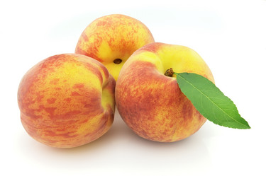 Similar image 252702