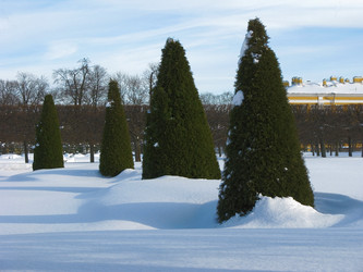 Similar image 252710