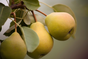 Similar image 252774