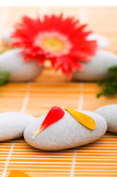 Similar image 252798