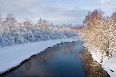 Similar image 253053