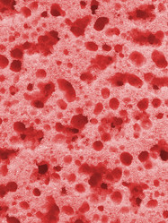 Similar image 253062