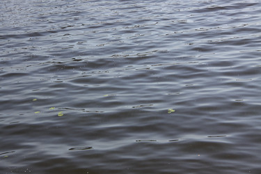 Similar image 253085