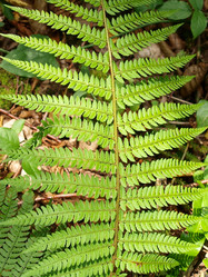 Similar image 253122