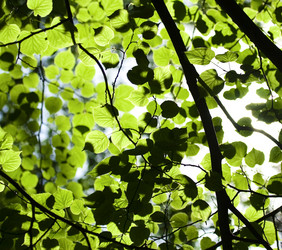 Similar image 253126