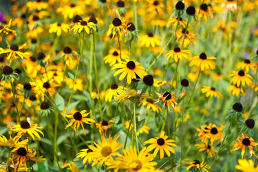 Similar image 253140