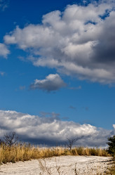 Similar image 253157