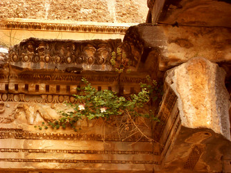 Similar image 253172