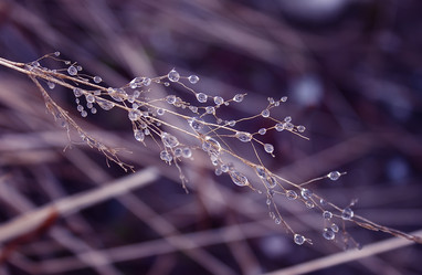 Similar image 253179