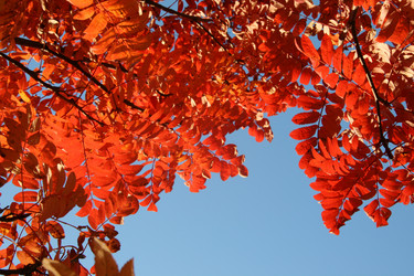 Similar image 253182