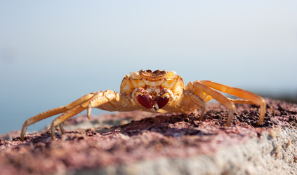 Similar image 253199