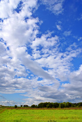 Similar image 253285