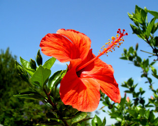 Similar image 253301