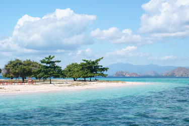 Similar image 253313