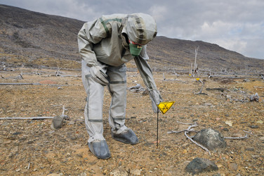 Similar image 253323