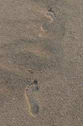 Similar image 253340