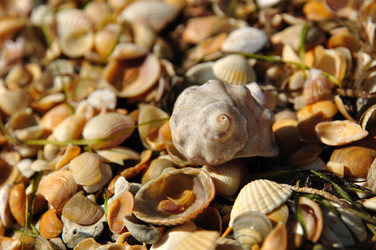 Similar image 253341