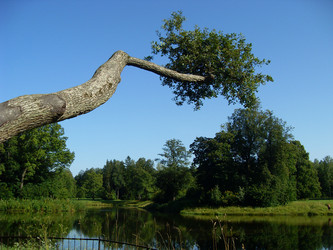 Similar image 253358