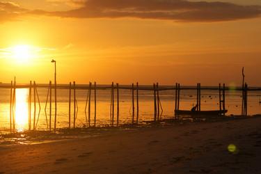 Similar image 253374