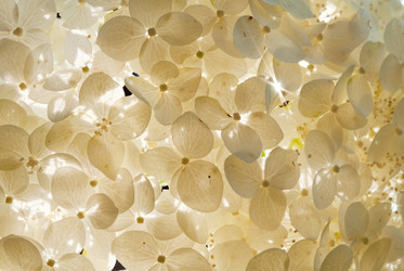 Similar image 253378