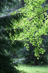 Similar image 253382