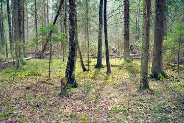 Similar image 253387