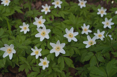 Similar image 253469